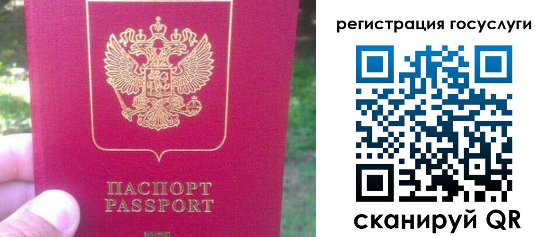 временная прописка в Полярных Зорях